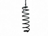 Muelle espiral trasero