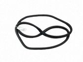 Rear door rubber seal (on body)
