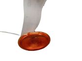 Seitenblinker