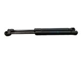 Rear window strut damper