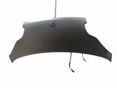 Motorhaube