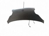Motorhaube