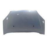 Engine bonnet/hood