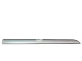 Front door trim (molding)