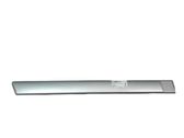 Rear door trim (molding)