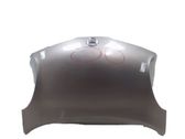 Engine bonnet/hood