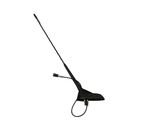 Radion antenni