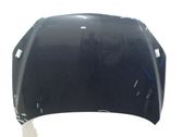 Motorhaube