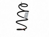 Muelle espiral trasero
