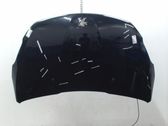 Motorhaube