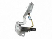 Engine bonnet/hood hinges