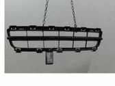 Front bumper lower grill