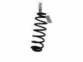Muelle espiral trasero