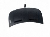 Motorhaube
