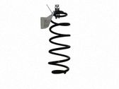 Muelle espiral trasero