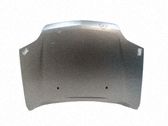 Engine bonnet/hood