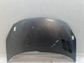 Motorhaube