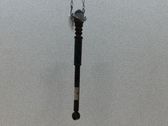 Rear shock absorber/damper