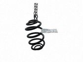 Rear coil spring
