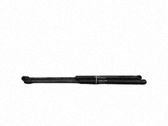 Tailgate/trunk strut/damper