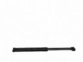 Tailgate/trunk strut/damper