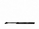 Tailgate/trunk strut/damper