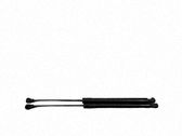 Tailgate/trunk strut/damper