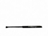 Tailgate/trunk strut/damper