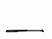 Tailgate/trunk strut/damper