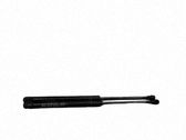 Tailgate/trunk strut/damper