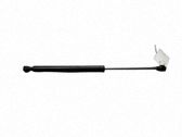 Tailgate/trunk strut/damper