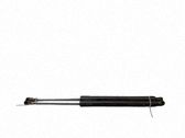 Tailgate/trunk strut/damper