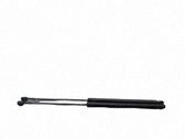 Tailgate/trunk strut/damper