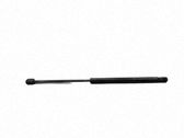 Tailgate/trunk strut/damper