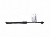 Tailgate/trunk strut/damper