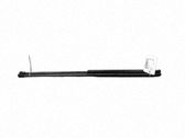 Tailgate/trunk strut/damper