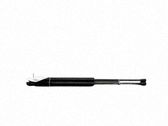 Tailgate/trunk strut/damper