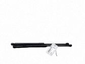 Tailgate/trunk strut/damper