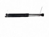 Tailgate/trunk strut/damper