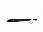 Tailgate/trunk strut/damper