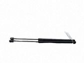 Tailgate/trunk strut/damper
