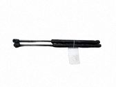 Tailgate/trunk strut/damper