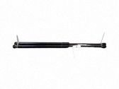 Tailgate/trunk strut/damper