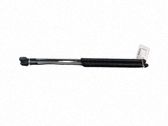 Tailgate/trunk strut/damper