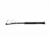 Tailgate/trunk strut/damper