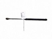 Tailgate/trunk strut/damper