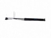 Tailgate/trunk strut/damper