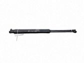 Tailgate/trunk strut/damper