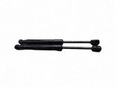 Front bonnet/hood damper/strut
