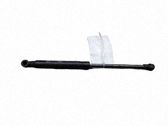 Tailgate/trunk strut/damper